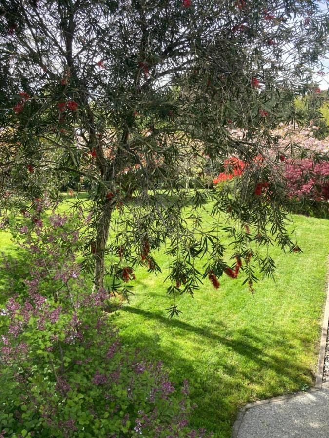 Private Guest Suite Mapua المظهر الخارجي الصورة